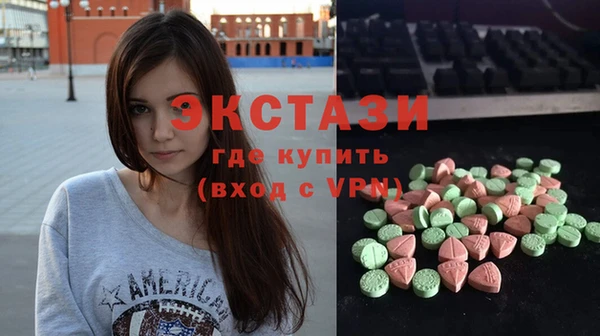 ECSTASY Богородицк