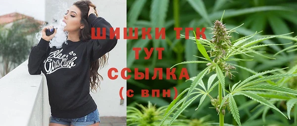 ECSTASY Богородицк