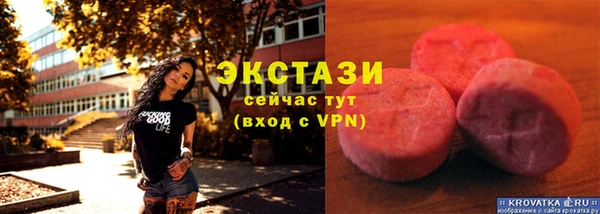 ECSTASY Богородицк